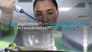 Что такое стандарты на пищевые продукты и почему они важны?