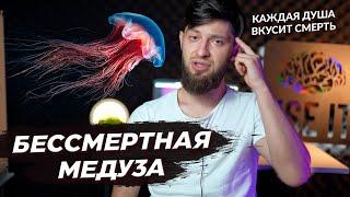 Ошибка в Коране? / Бессмертная медуза