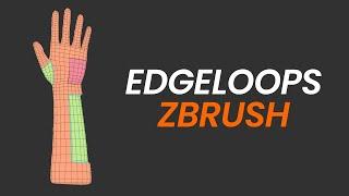 Geometry - Edge Loop /Edgeloop - ZBrush