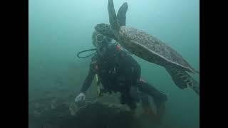 Scuba and Sea Turtles, Casey and Ella, Coron, Philippines.