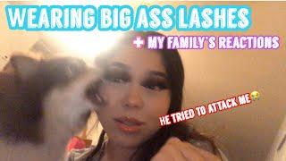 wearing giant lashes + my family's reactions 