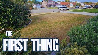 First Things To Do To The Lawn Every Year