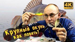 Как ловить крупного окуня, Где искать, на что ловить