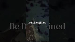 Stay Disciplined Credit: Rocky #discipline #mindset #motivation