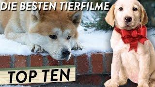 Die besten TIERFILME | TOP 10