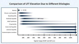 Interpretation of LFTs (Liver Function Tests)