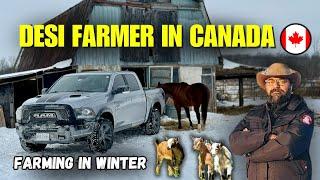 Surviving The  Cold  | A Day With A Desi Farmer in Canada  |