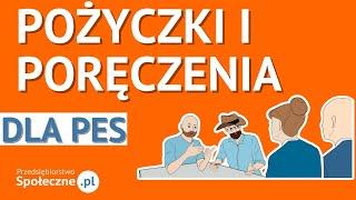 Pożyczki i poręczenia dla PES. Jak z nich skorzystać?