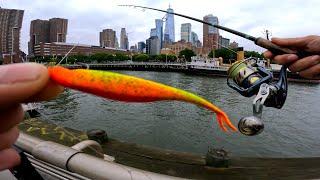 I Went Fishing In NYC