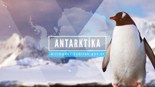 Antarktika - Dünyanın En Büyük Doğal Laboratuvarı