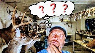 What do YOU NEED to open a taxidermy shop? ***SUPER EASY*** WHITETAIL TAXIDERMY!