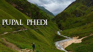 PUPAL PHEDI || YARSA LAND | OLDEST TREKING  ROUTE IN WEST DHAULAGIRI CIRCUIT TREK