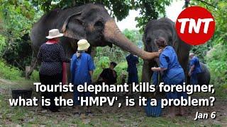 Tourist elephant kills foreigner, what is the 'HMPV' and is it a problem? - Jan 6