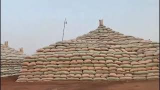 Rice Pyramids in Kebbi State Nigeria