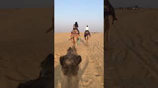 Jaisalmer camel safari : Thar desert