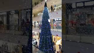Marry Xmas | cristmas tree |