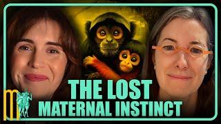 The Lost Maternal Instinct - Erica Komisar | Maiden Mother Matriarch 50