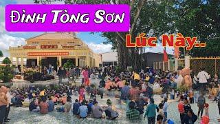 Bà Con Ùn Ùn Về Dự Lễ Giỗ Phật Thầy Tây An Tại Đình Tòng Sơn Chen Chân Không Lọt | Du Lịch Đồng Tháp