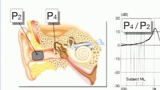 Binaural Audio-Tutorial T8 from the 140th AES Convention-Paris by Robert Schulein