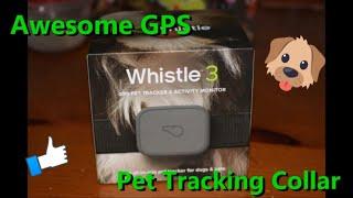 Whistle 3 GPS Pet Tracking Collar: Pet Product Reviews VOL. 6