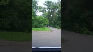 Аллея из разных деревьев на повороте в между Алесеевкой и больницей, во Флорештах