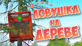 ЛОВУШКА НА ДЕРЕВЕ! УБИЛИ ЧИТЕРА в РАСТ/RUST