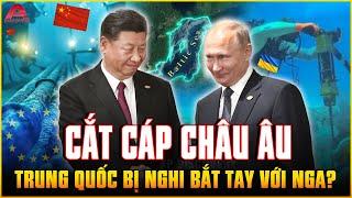 Trung Quốc bị nghi ngờ BẮT TAY VỚI NGA cắt đứt cáp Internet Châu Âu, TẬP CẬN BÌNH muốn chiến? | AP