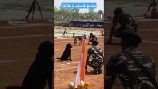 Army Labrador sitting training| labrador training|#shorts #ytshorts #army @raxthelabrador6144