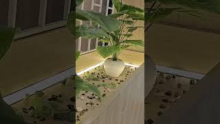 Galgotias University #short tour #shortvideo #shorts #yt #ytshorts #trending #trendingshorts #viral