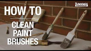 How To Clean Paint Brushes - Bunnings Warehouse