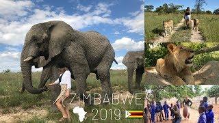 Zimbabwe 2019 - 1 month at Antelope Park