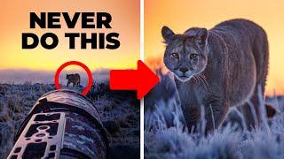 This one mistake almost ruined my $20,000 mountain lion tour