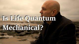 Is Life Quantum Mechanical? - Prof. Jim Al-Khalili