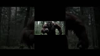 Bigfoot Reacts Vlog!  I am not fighting another bear! Ai Fail Ranking