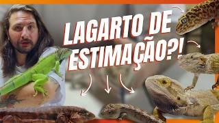 QUAL O MELHOR LAGARTO PARA TER COMO PRIMEIRO PET?