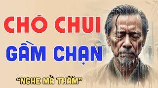Nghe 5 Phút Ngủ Cực Ngon: “CHÓ CHUI GẦM CHẠN” | Đọc Truyện Đêm Khuya