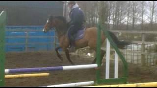 david harland jumping saphie