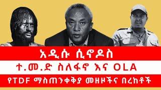 አዲሱ ሲኖዶስ | ተ.መ.ድ ስለፋኖ እና OLA | የTDF ማስጠንቀቅያ መዘዞችና በረከቶች 10/25/24