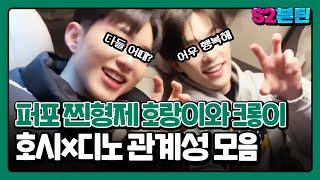 [세븐틴] S2븐틴 Ep.38 호시x디노 관계성 모음ㅣ이것이 찐형제다! 뽀뽀팀 리더 호랑이와 막내 크롱이