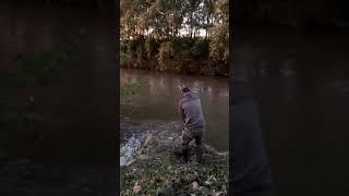 ***CATFISH LIVE ATTACK*** - Catfish stalking #shorts