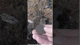 Metal Detecting- Digging 1700's Relics