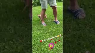Чихуахуа. Девочка 3 месяца. У нас можно купить щенка чихуахуа valentra.ru