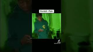 snippet Gvmbit - Pain     #Gvmbit24