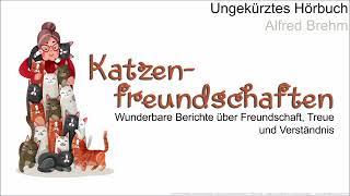 Katzenfreundschaften - Wundervolle Berichte über Katzen, Liebe, Freundschaft und Treue