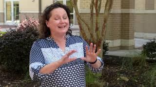 CSU Online | Psychology