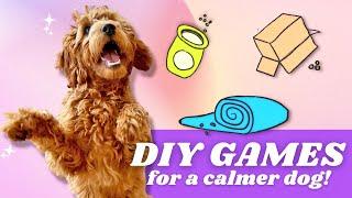 4 EASY Brain Games!  Exercises your dog AT HOME