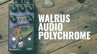 Deep Dive: Walrus Audio Polychrome analogue flanger | Guitar.com