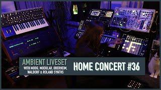 Home Concert #36 (Ambient / Sequencer session)