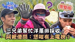 【雲林】三兄弟洋蔥田採收！古錐阿嬤傻問：恁咁有上電視？姚元浩開怪手被讚超全能！土庫【請問 今晚住誰家】20230216 EP698 王傳一 陳漢典