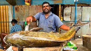 KASIMEDU  MR GOVINDH | 41 KG GIANT BROWN COBIA FISH CUTTTING | IN KASIMEDU | HD VIDEO |FF CUTTTING